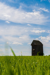 Windmill landscape