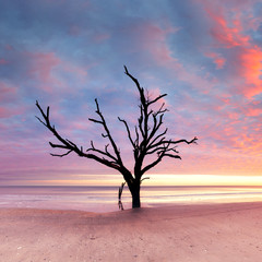 Botany Bay beach at cloudy sunset