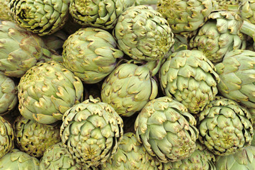 Fototapeta premium artichaut