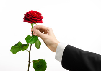 man's hand in a suit holding a red rose isolated in studio
