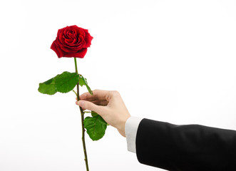 man's hand in a suit holding a red rose isolated in studio