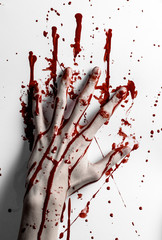bloody hand print on a white leaves bloody wall studio isolated