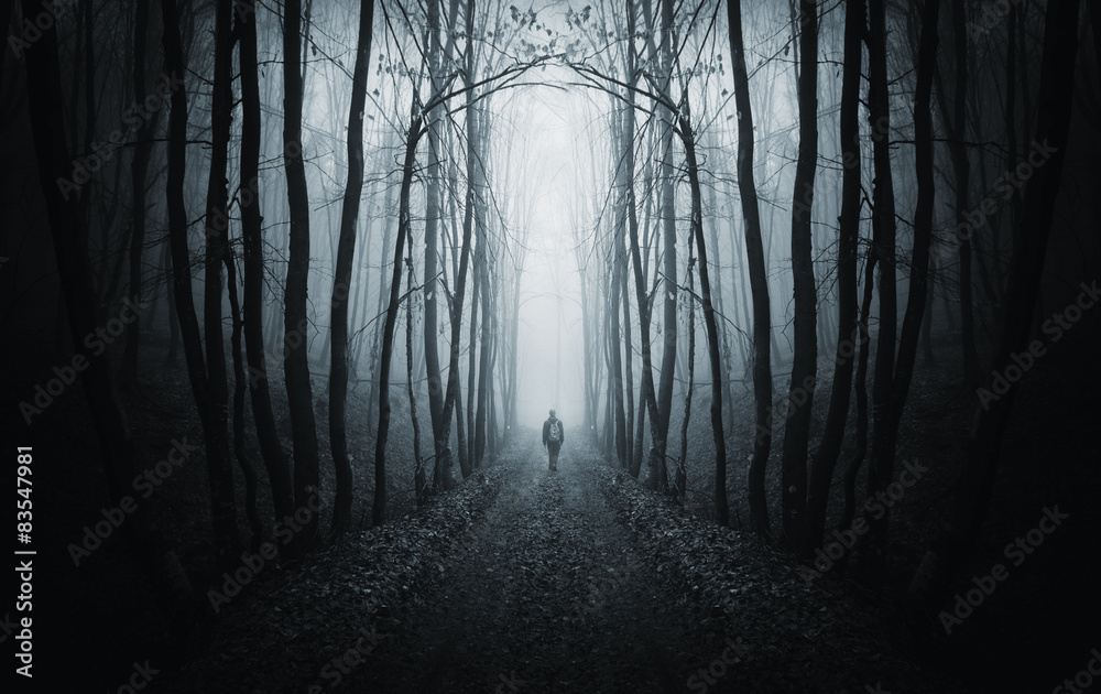 Fototapete man walking on path in strange dark forest with fog
