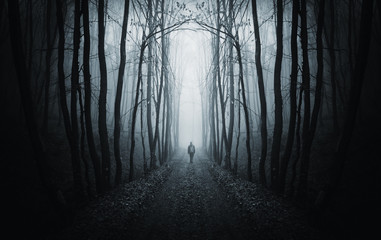 man walking on path in strange dark forest with fog - Powered by Adobe