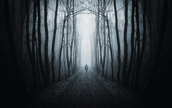 man walking on path in strange dark forest with fog
