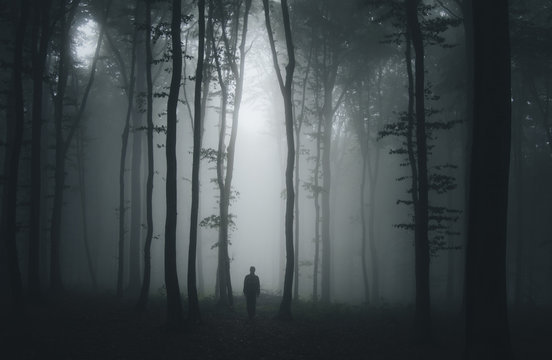 Fototapeta spooky halloween scene with man in dark forest