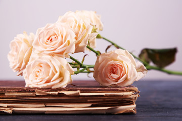 Roses with vintage book on light background
