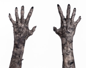 black hand of death, walking dead, zombie theme,  zombie hands - 83549104
