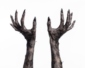 black hand of death, walking dead, zombie theme,  zombie hands