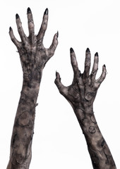 black hand of death, walking dead, zombie theme,  zombie hands - 83549161