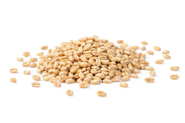 wheat