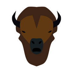vector illustration of simplified buffalo head on white.