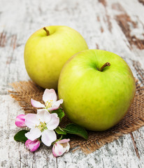 apples  and apple tree blossoms