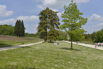 Pelouse entre deux chemins au parc Solvay de la Hulpe 