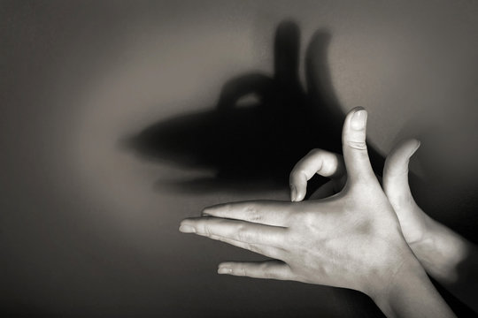 Hands gesture like dog face on gray background