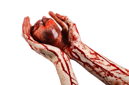 Terrible Bloody Hand Hold Torn Bleeding Human Heart Isolated