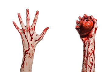 terrible bloody hand hold torn bleeding human heart isolated