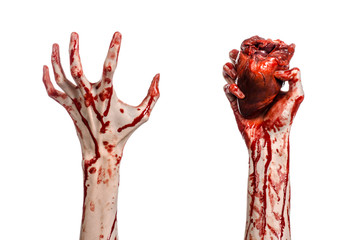terrible bloody hand hold torn bleeding human heart isolated