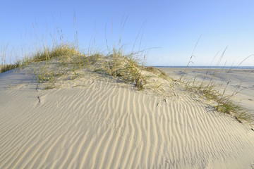 Sand Dunes of Outer Banks in North Carolina