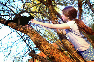teenager beautiful girl help black cat climb down the tree in th