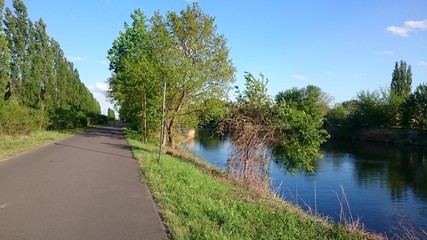 Fototapeta na wymiar Ruhiger Fahrradweg neben einem Fluß
