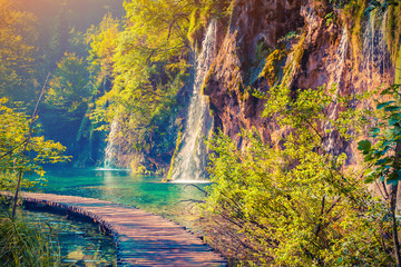 Colorful summer morning in the Plitvice Lakes National Park.