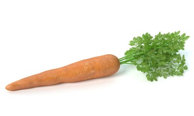 3d illustration of a carrot