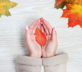 Autumn leaf in hand