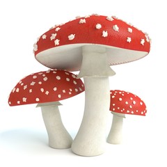 3d illustration of amanita mushrooms