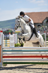horse jumping