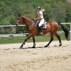 horse jumping