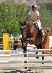 horse jumping