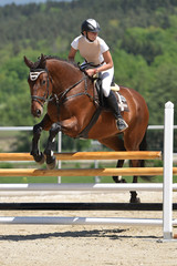 horse jumping