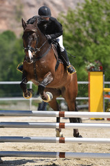 horse jumping