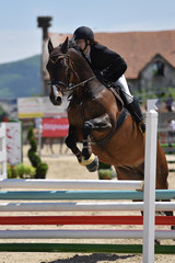 horse jumping