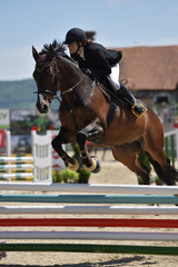 horse jumping