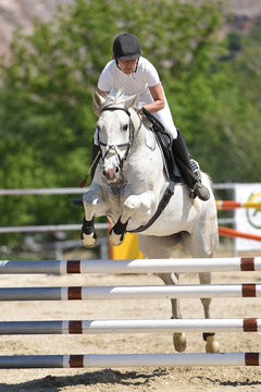 horse jumping