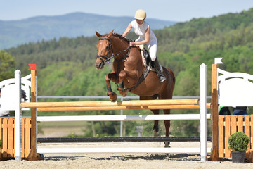 horse jumping