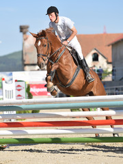 horse jumping