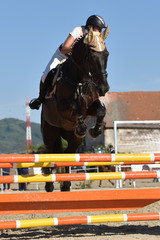 horse jumping