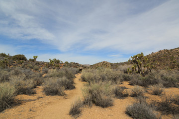 Lost Horse Mine Trail