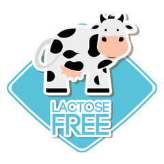 lactose free