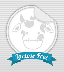 lactose free