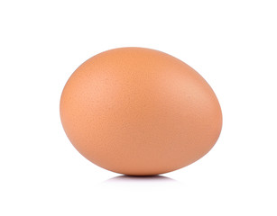 egg on white background