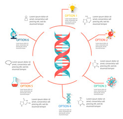 DNA structure infographic