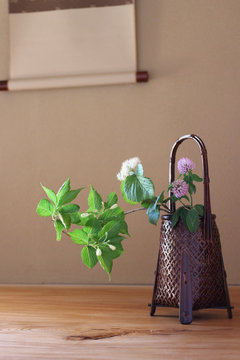 日本の和室の床の間に飾られた花籠と生け花