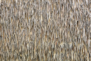 Roofs made of Leaf  The stacked layers