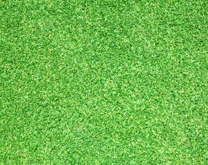 Obraz premium Golf Courses green lawn