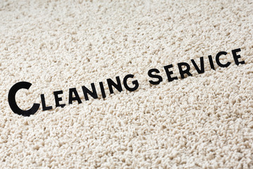 Image of carpet and brush with title