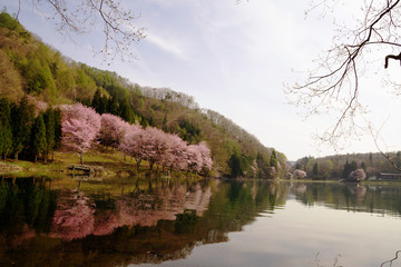 中綱湖畔の景色